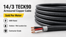 14/3 TECK90 armoured copper cable banner image with sold per meter callout, 600V rating, outdoor wet-location use, and contractor-grade feature highlights.