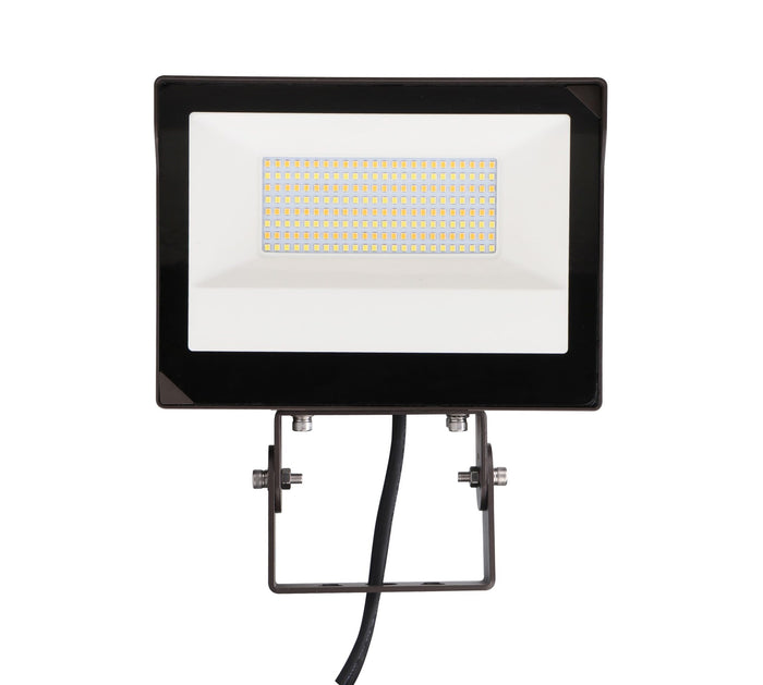 Front view of Votatec AST-FL19 80W CCT and power adjustable LED flood light with trunnion mount and bronze housing